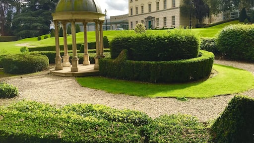 Dunboyne Castle, Southern Ireland 🇨🇮 (about an hour from Dublin city)