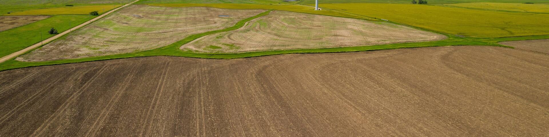 Windfarms on wheat field. Wilson, Kansas, United States Of America.