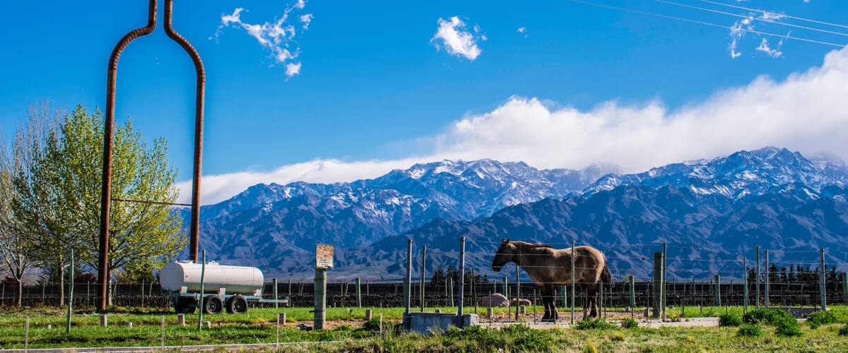 A horse in a fenced area with mountains in the background.