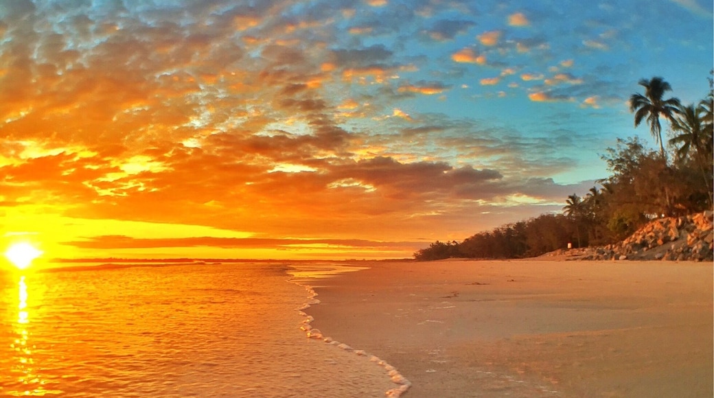 The start of another magical day in Mackay! 🌅🌴
Don't forget we're doing a Sunset Instameet this afternoon at Sunset Bay from 6:30pm here in @visitmackay with @cherrieflea, look forward to seeing you there! ☀️🐠🐟🌴😀
#meetmackayregion #thisisqueensland #seeaustralia #olloclip