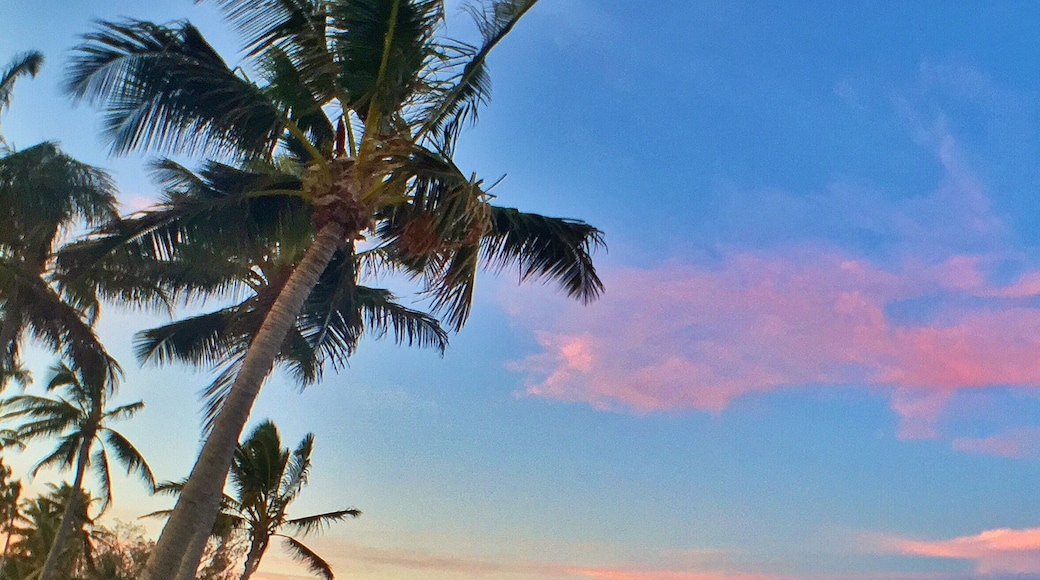 We're in @visitmackay for the night! Happy long weekend! 🌅🐠🐟🌴😀
#meetmackayregion #GoProANZ #thisisqueensland #seeaustralia
