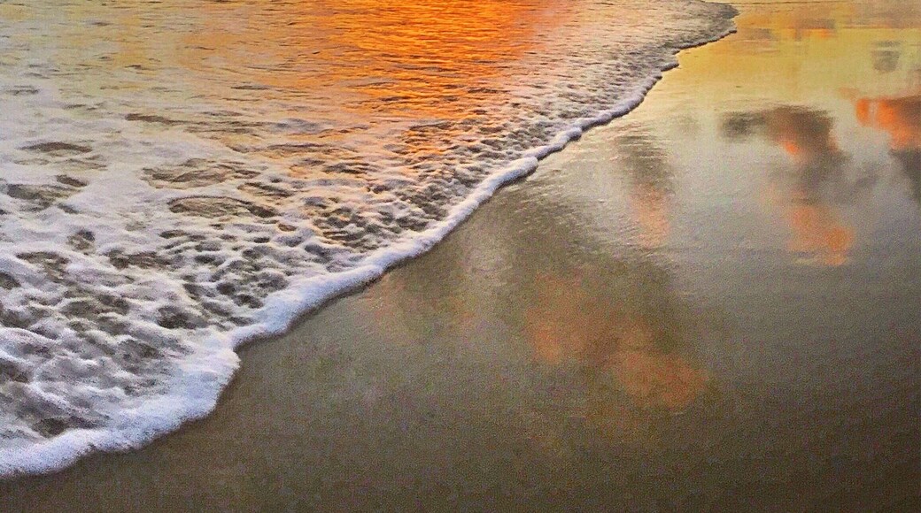 Good morning Mackay! 🌅🐠🐟🌴😀
#meetmackayregion #thisisqueensland #seeaustralia #olloclip