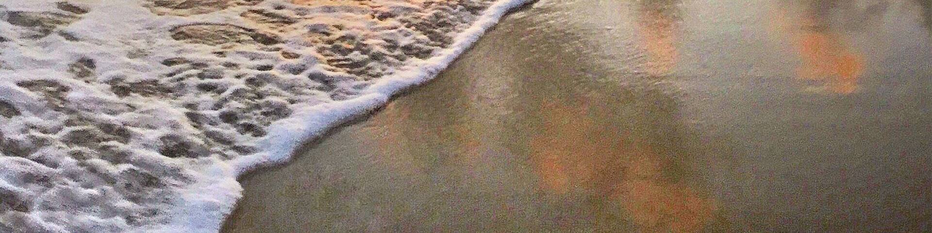 Good morning Mackay! 🌅🐠🐟🌴😀
#meetmackayregion #thisisqueensland #seeaustralia #olloclip