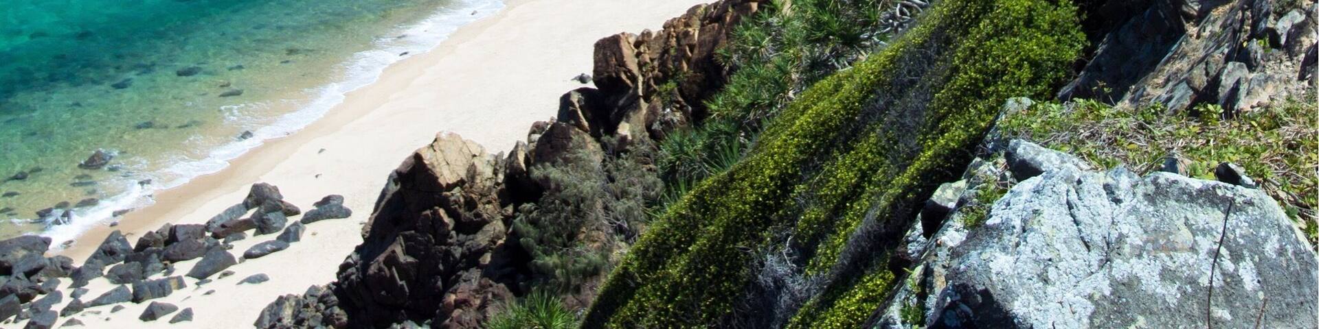 Easing into 2017 with a relaxing day at the beach! 🐟🌴☀️