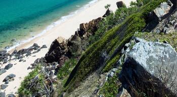 Easing into 2017 with a relaxing day at the beach! 🐟🌴☀️