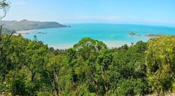 Bãi biển Dolphin Heads