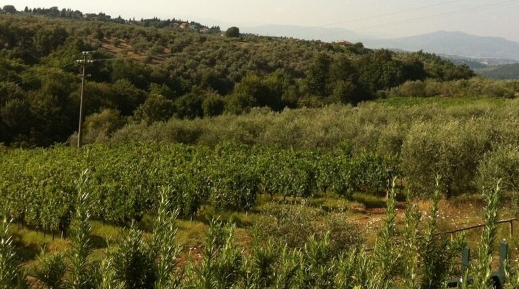 some chianti (just now)