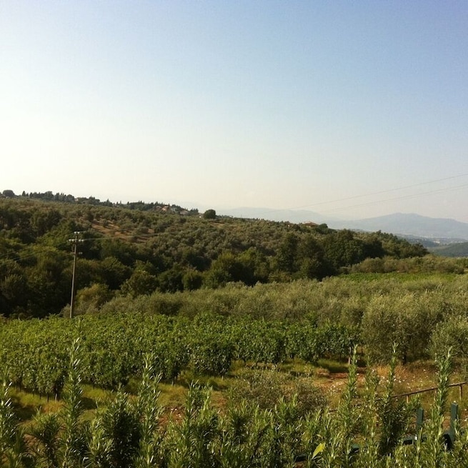 some chianti (just now)