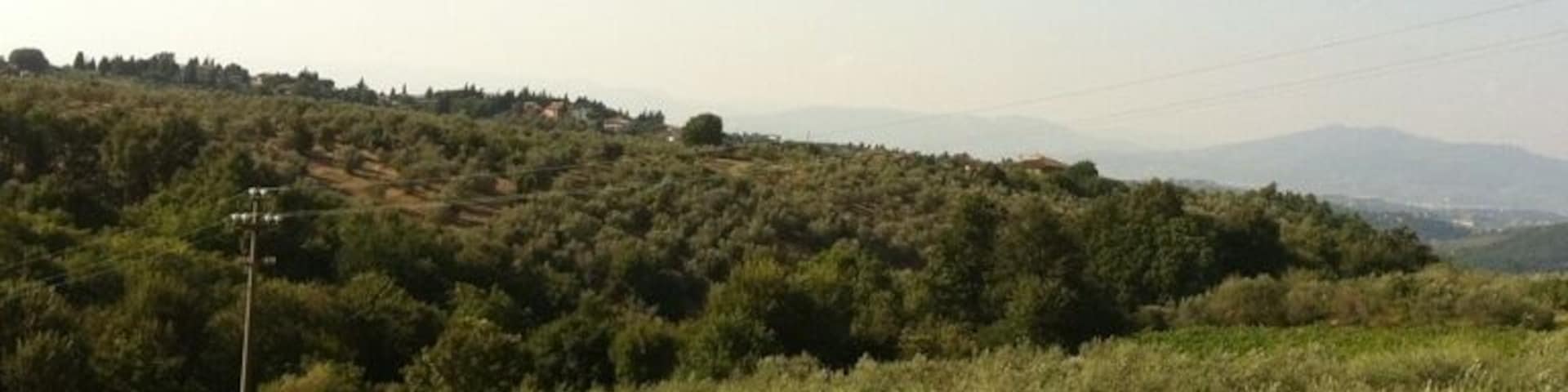 some chianti (just now)