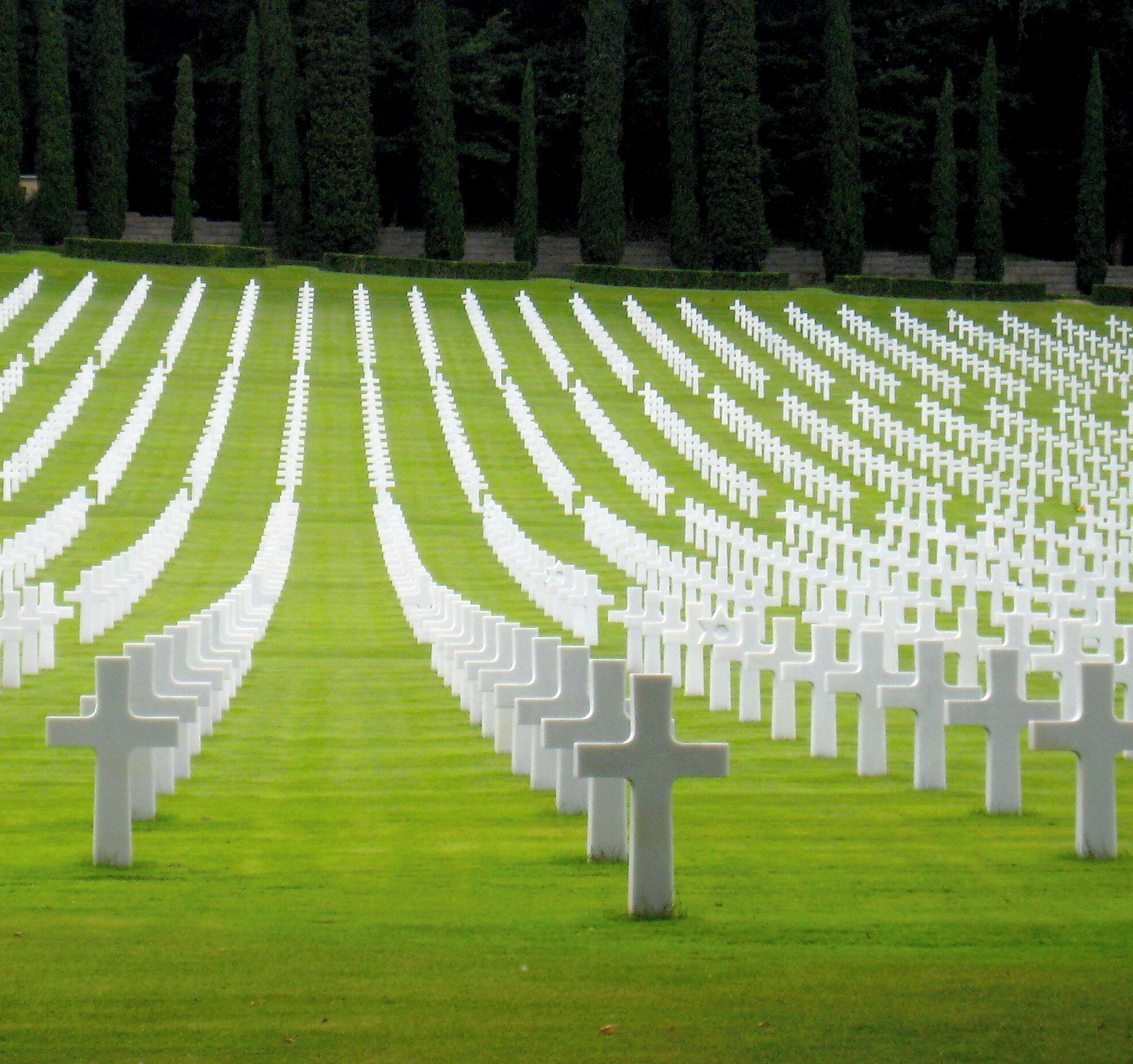 A cemetery with rows of white crosses on green grass.