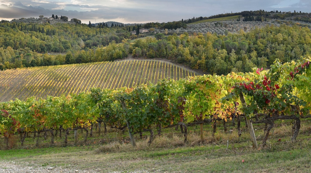 San Casciano in Val di Pesa