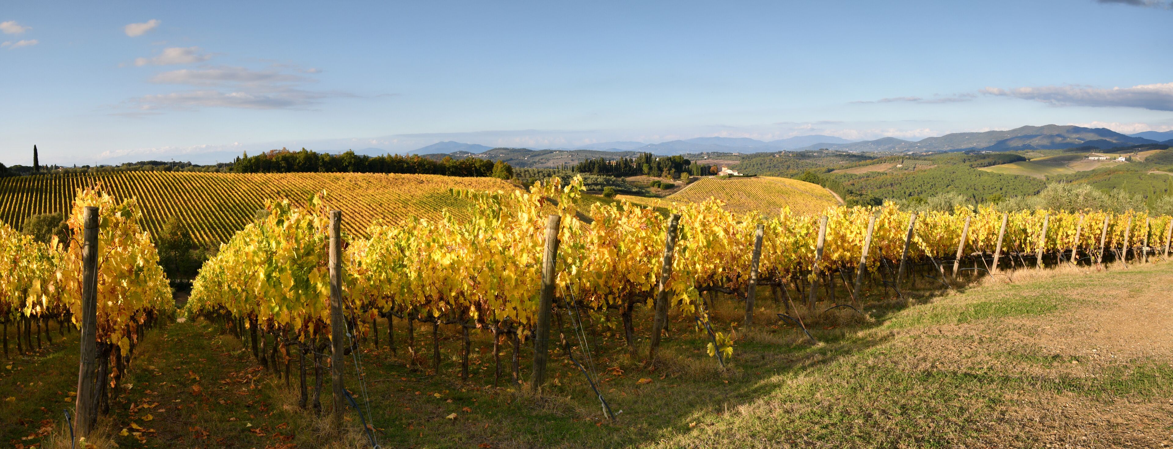 San Casciano in Val di Pesa