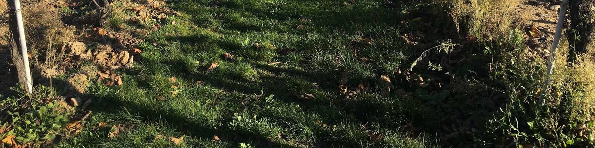 Fall is a great time to visit Tuscany! The weather is cooler, the crowds die down a bit and the vineyards are full of beautiful colors. I highly recommend doing a tour of some of the wineries in the region. #lifeatexpedia #italy #tuscany #vino