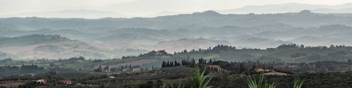 Typical Tuscan landscape in val d Elsa with hills and cypresses in the very early morning