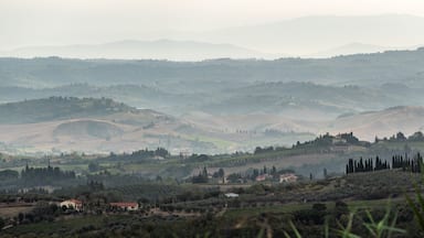 Rolling hills, vineyards, and scattered buildings in a hilly landscape.