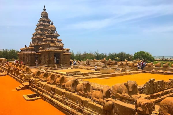 Must visit if your traveling nearby, The Shore Temple (built in 700â728 AD) is so named because it overlooks the shore of the Bay of Bengal. It is a structural temple, built with blocks of granite, dating from the 8th century AD. It was built on a promontory sticking out into the Bay of Bengal at Mahabalipuram, a village south of Chennai in the state of Tamil Nadu in India. At the time of its creation, the village was a busy port during the reign of Narasimhavarman II of the Pallava dynasty.As one of the Group of Monuments at Mahabalipuram, it has been classified as a UNESCO World Heritage Site since 1984.It is one of the oldest structural (versus rock-cut) stone temples of South India.
#amitravaliya #colorful #amazing #stoneart #temple #shoretemple #tamilnadu #moments #trip #tbt #awesome #bluesky #beautiful #bestoftheday #clouds #igdaily #instaday #instalike #photooftheday #picoftheday #history #unesco #mahabalipuram #natgeotravel #incridibleindia