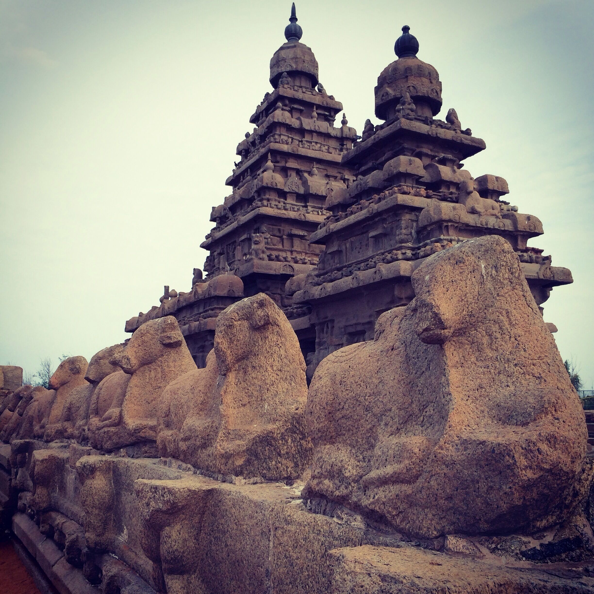 The Shore Temple, 400AD, World UNESCO Heritage Site.

#India #InStone