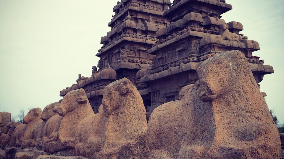 The Shore Temple, 400AD, World UNESCO Heritage Site.
#India #InStone