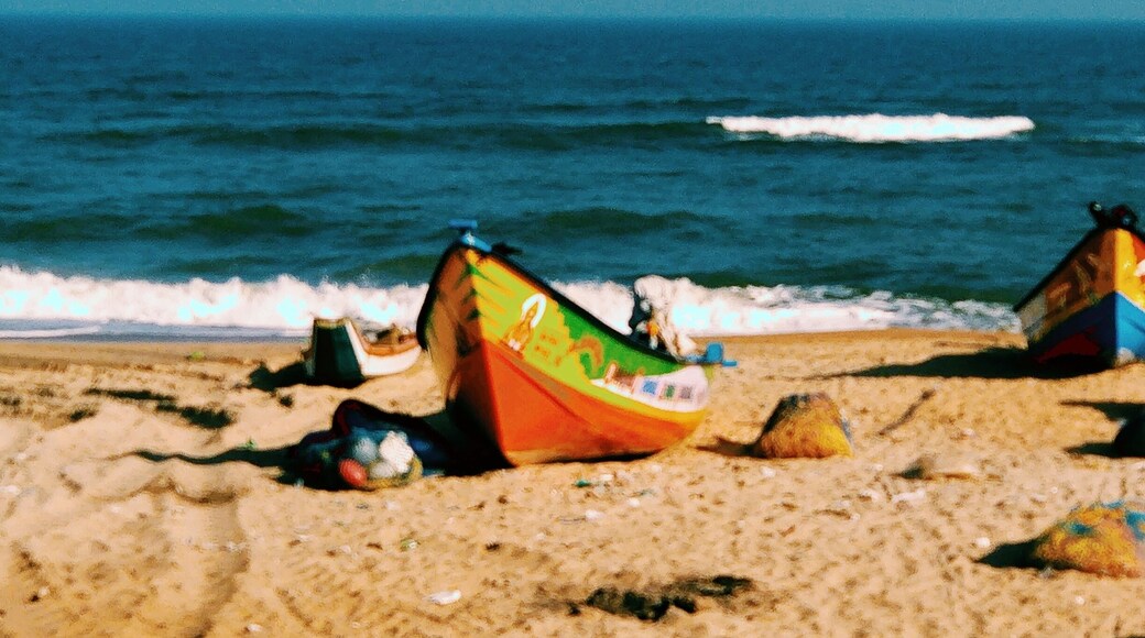 On the way from chennai to puducheri,these untouched fisherman's beaches are paradise