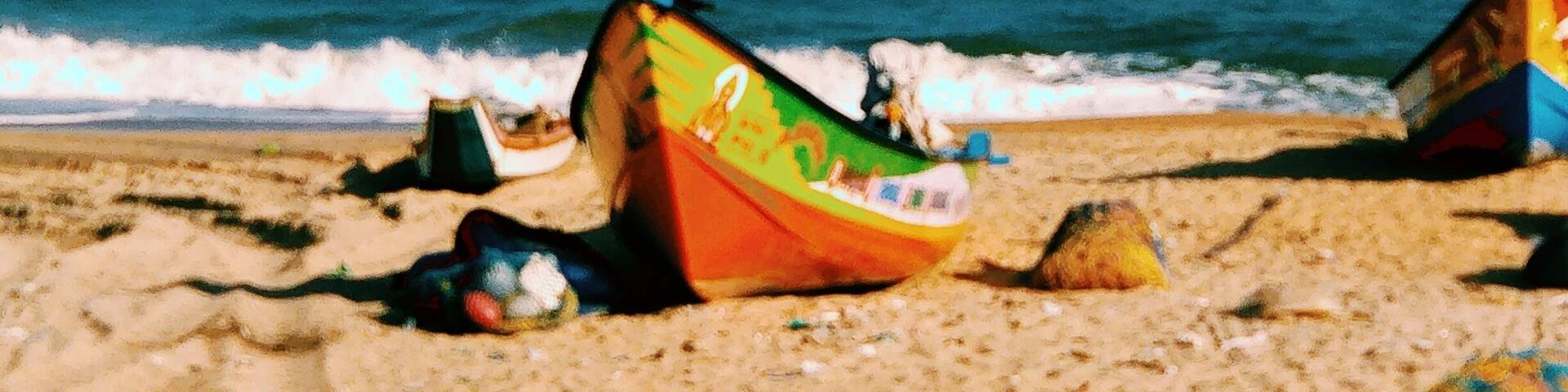 On the way from chennai to puducheri,these untouched fisherman's beaches are paradise