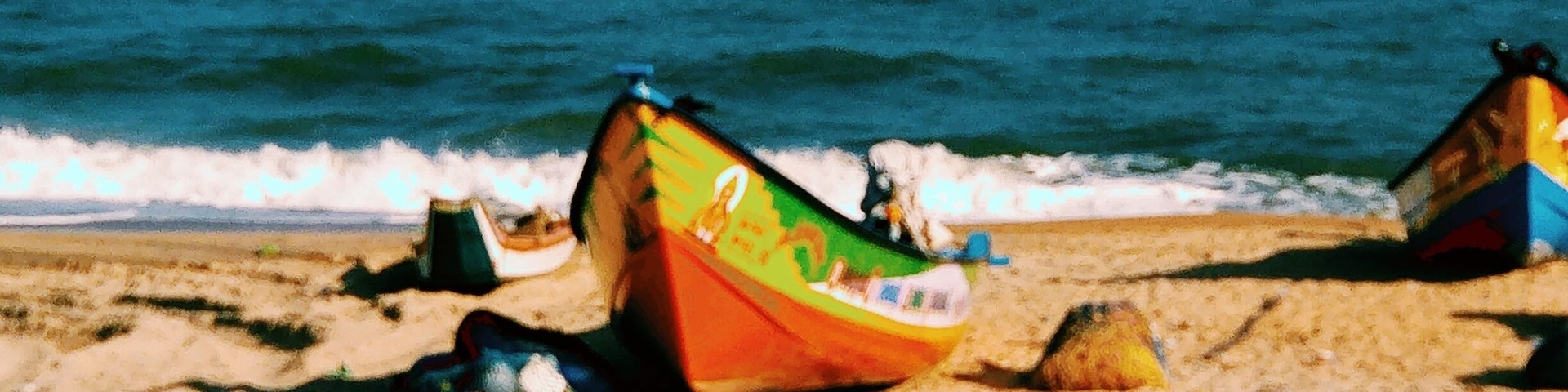 On the way from chennai to puducheri,these untouched fisherman's beaches are paradise