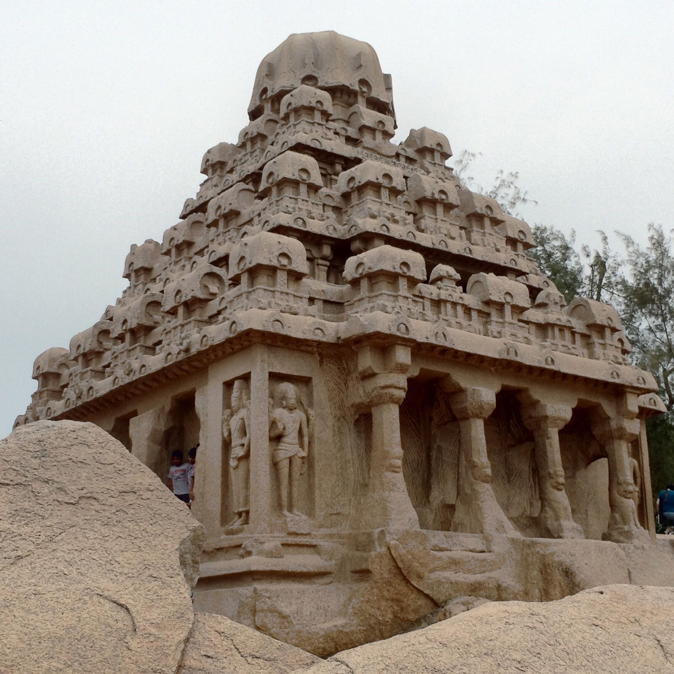 Never a dull moment in India. 