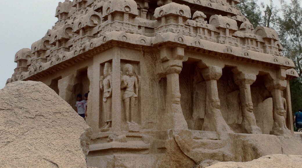 Never a dull moment in India.