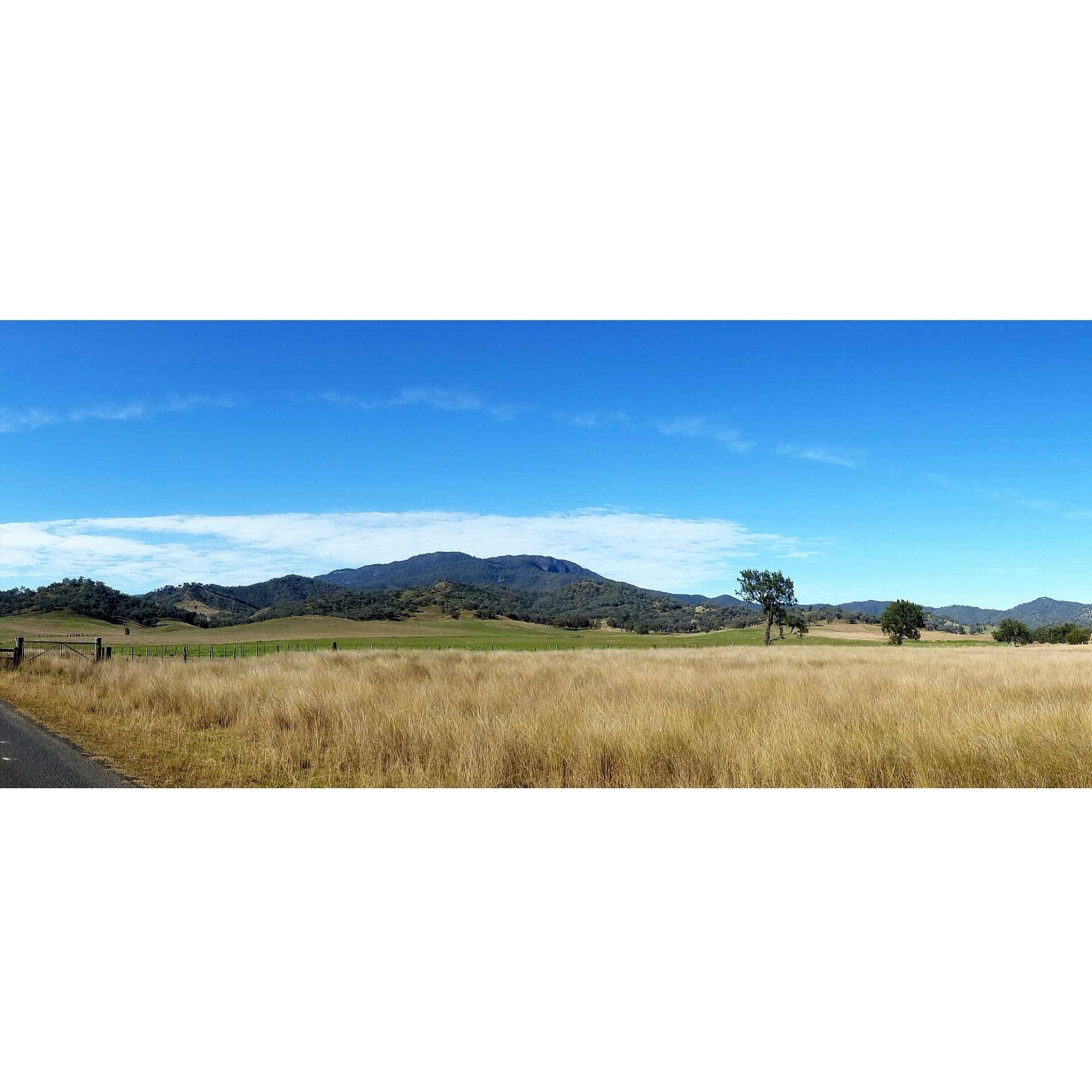 A grassy field with a fence, a clear blue sky, and distant mountains.