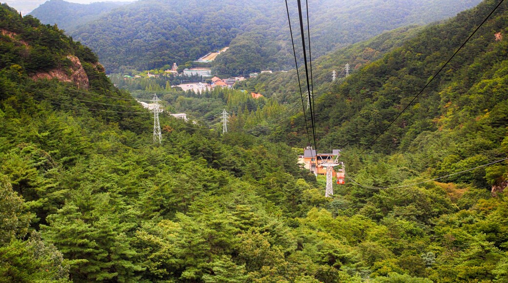 Ropeway (Cable car) at Geumosan Provincial Park, Gumi, South Korea