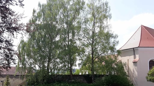 Heggbach St. Georg im Hag