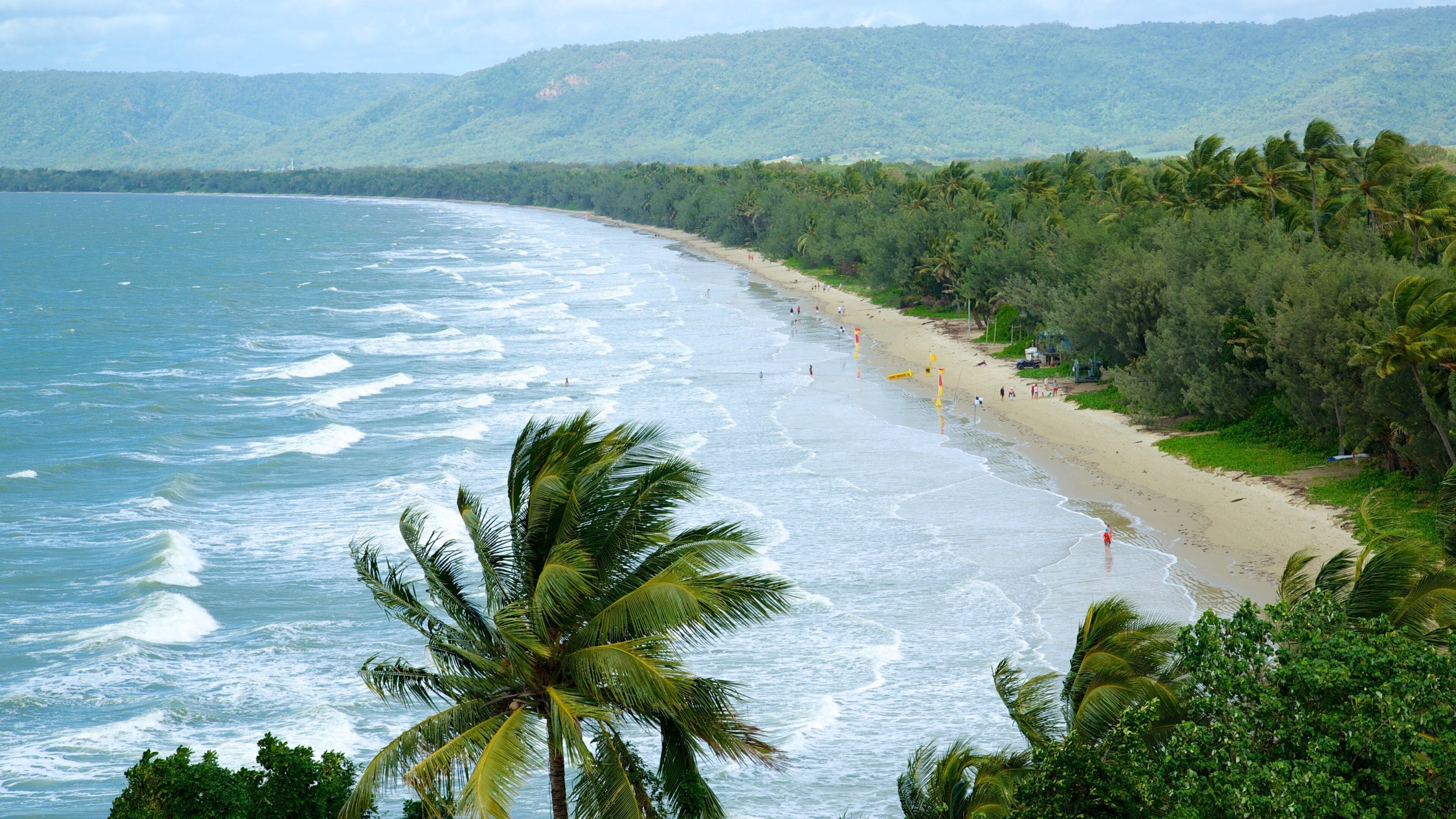 A beach with waves, palm trees, and a forested hillside.