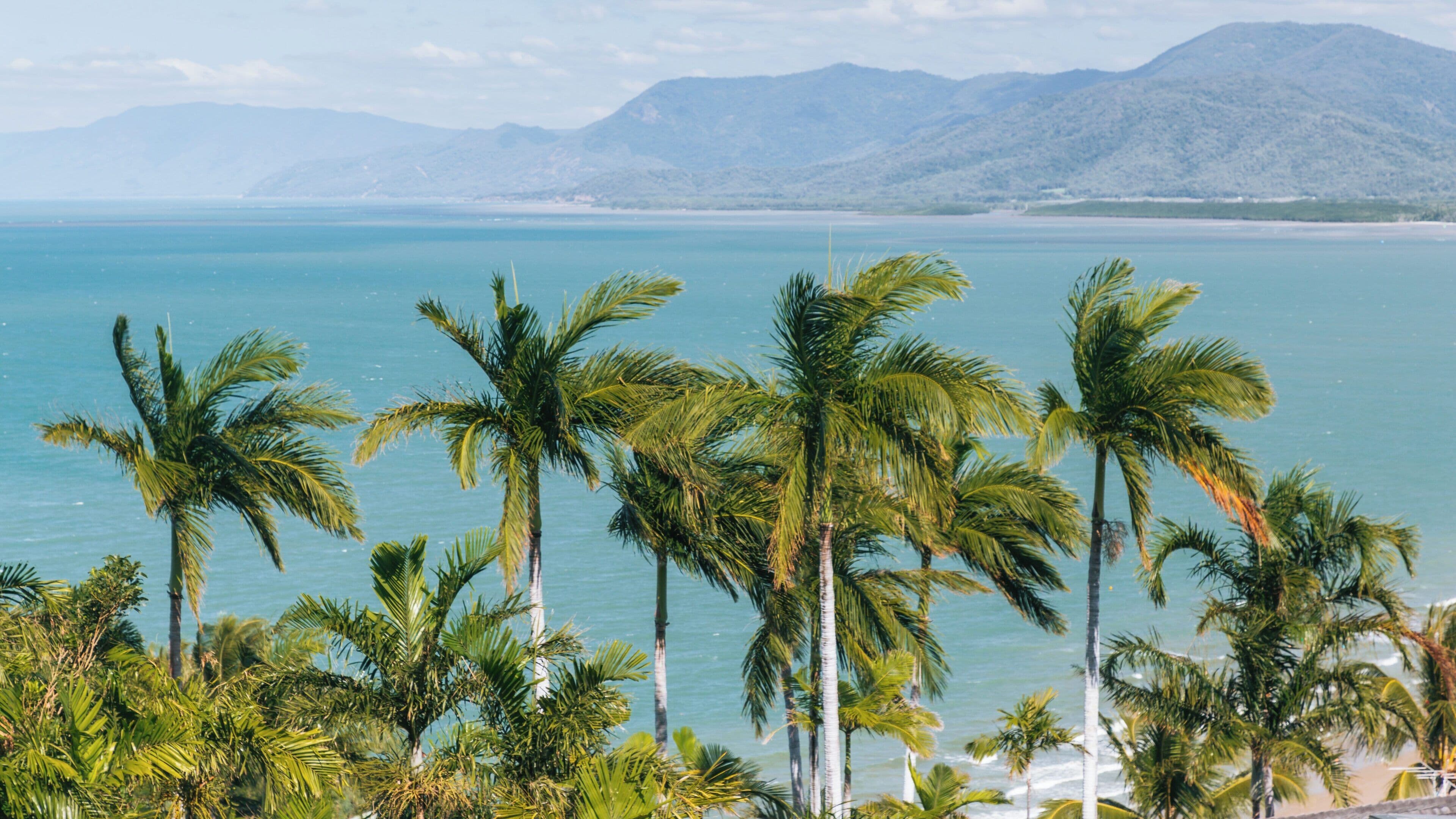 Beautiful coastal view of Four Mile Beach in Port Douglas, Queensland, showcasing palm trees and crystal-clear waters under a bright sky
