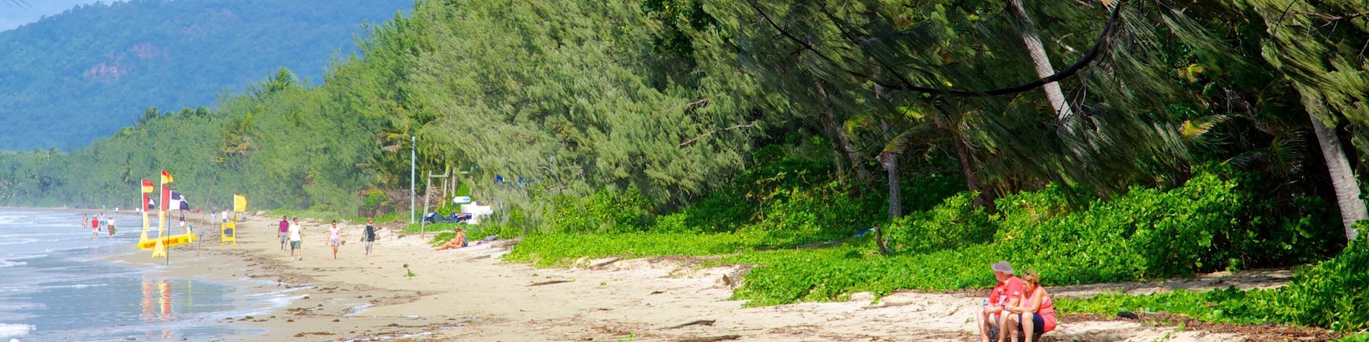 Four Mile Beach featuring a sandy beach and general coastal views