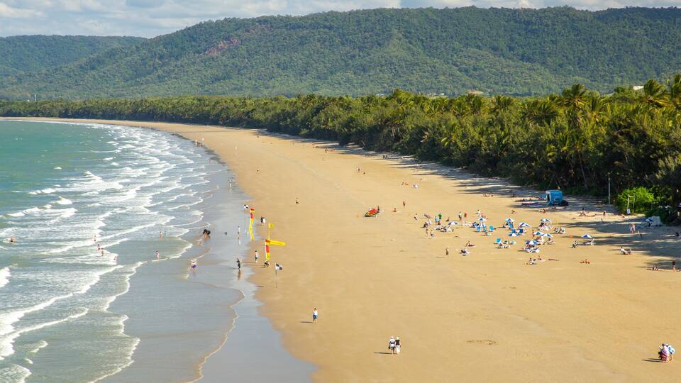 A sandy beach with palm trees and ocean waves.