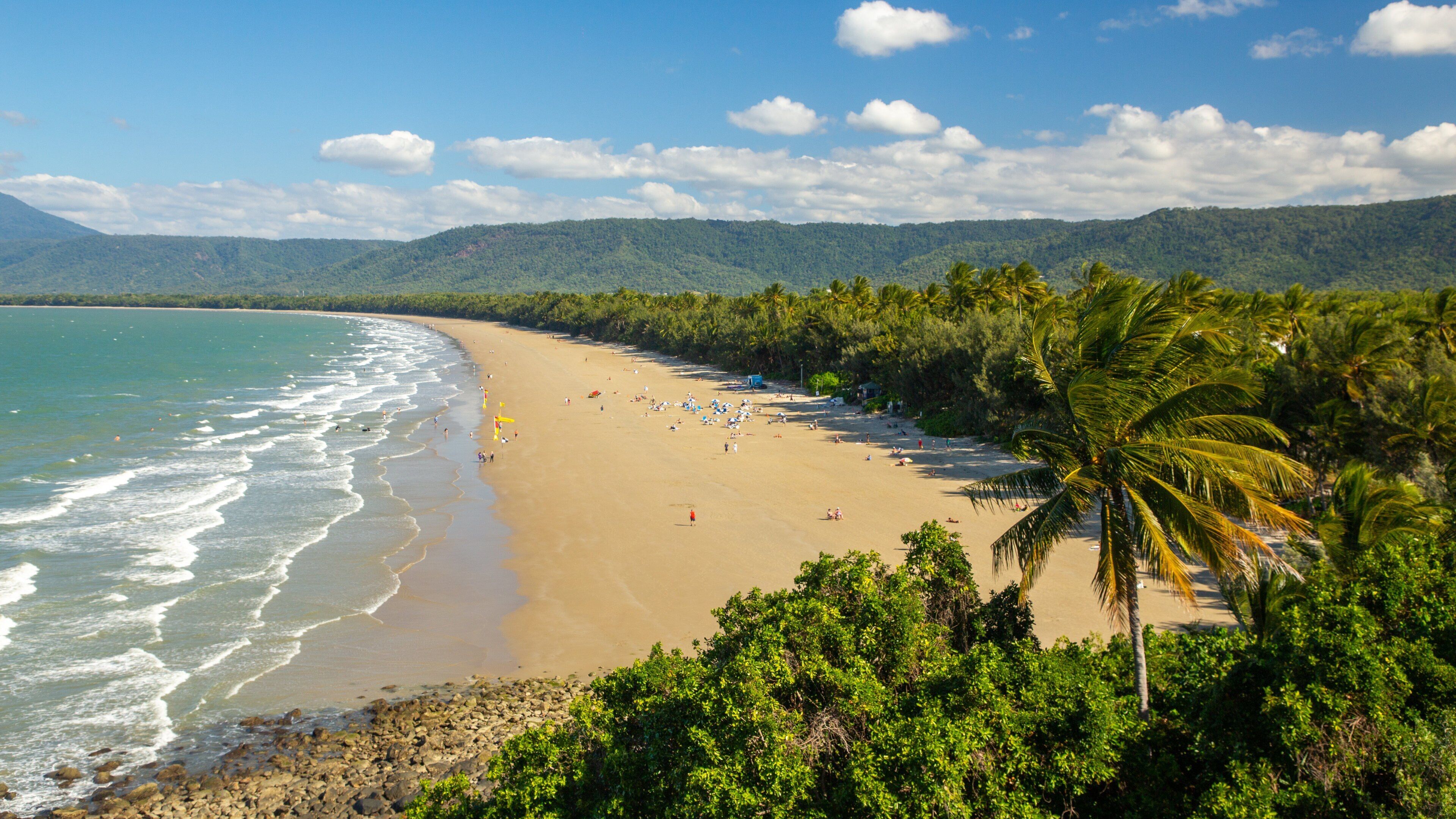 Four Mile Beach showing a beach, tropical scenes and landscape views