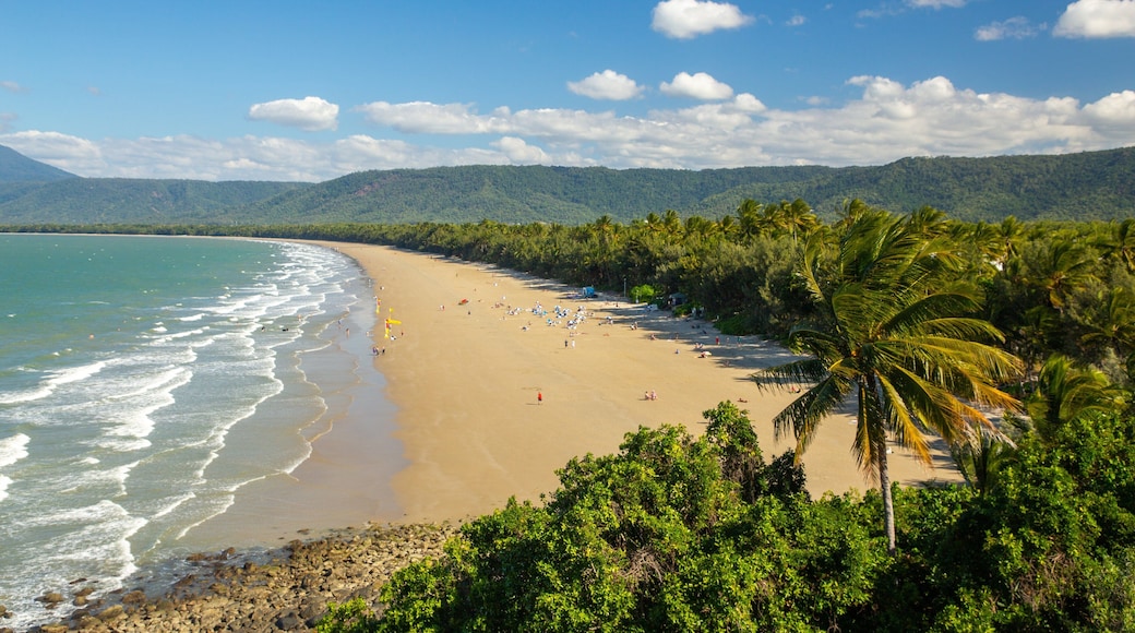 Four Mile Beach showing a beach, tropical scenes and landscape views