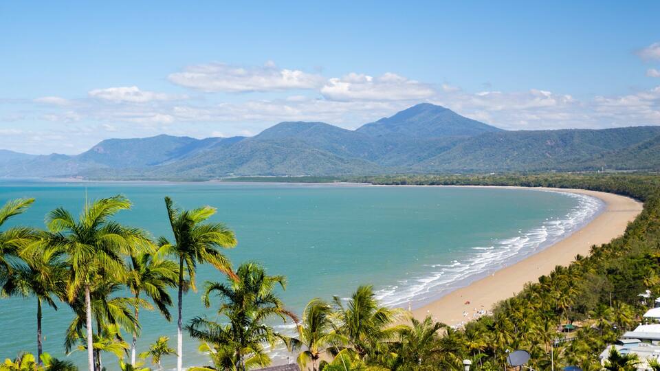 A beach with palm trees, a sandy shore, and mountains in the background.