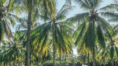 beautiful resort & stunning location