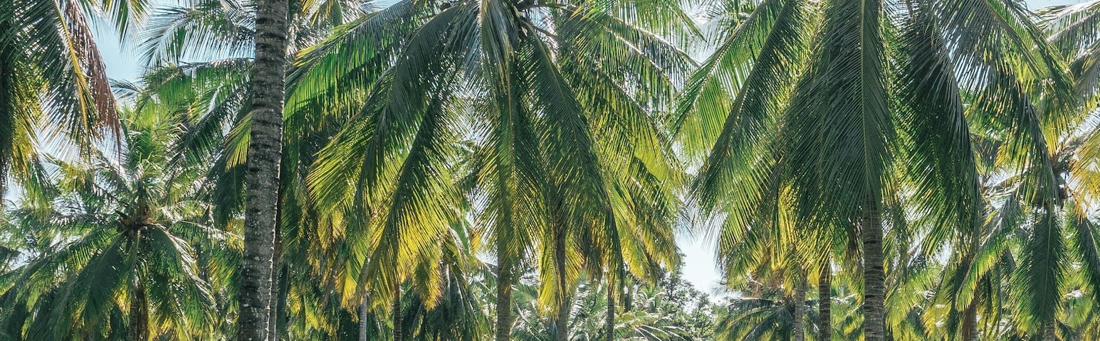 beautiful resort & stunning location