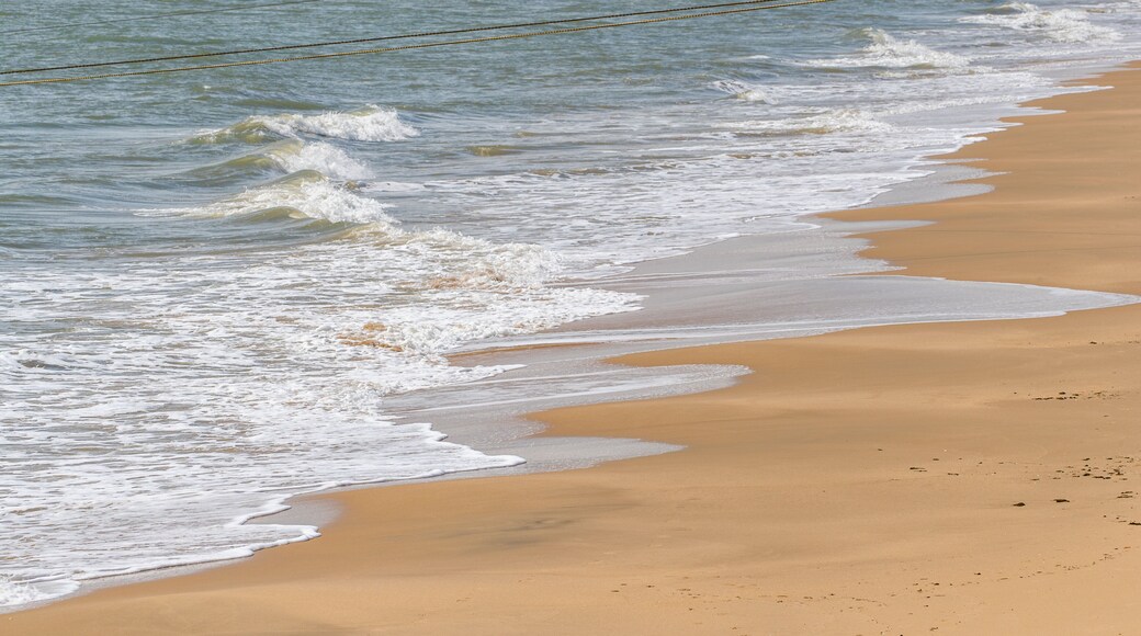 Yorkeys Knob showing general coastal views and a beach