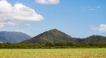 Yorkeys Knob showing tranquil scenes and mountains
