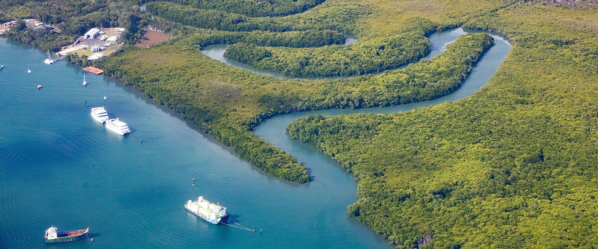 An aerial view of a river winding through a dense forest with several boats and a dock area.