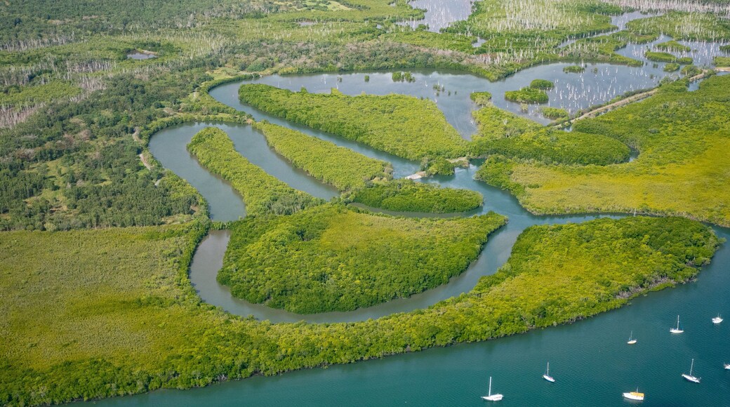Tropical North Queensland