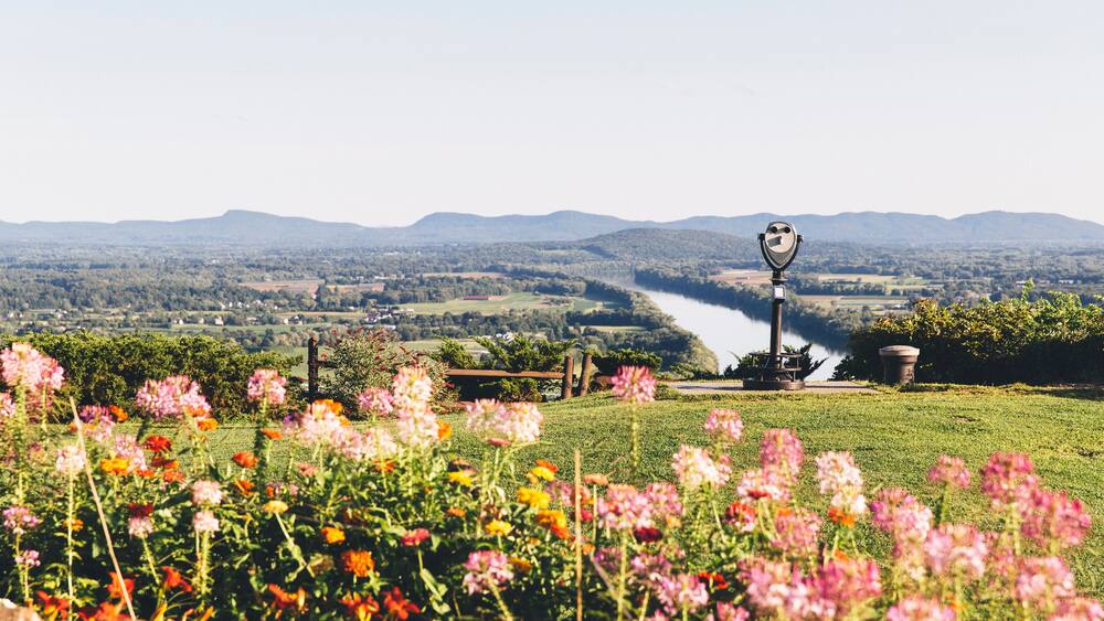A river, mountains, and a telescope in a field of flowers.