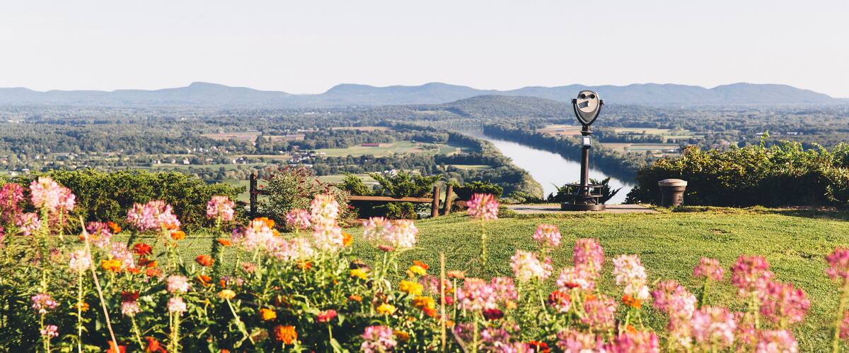 A river, mountains, and a telescope in a field of flowers.