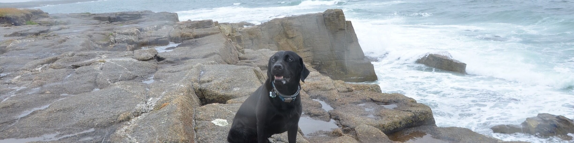 Stormy day weather in Brittany.
He does not mind.