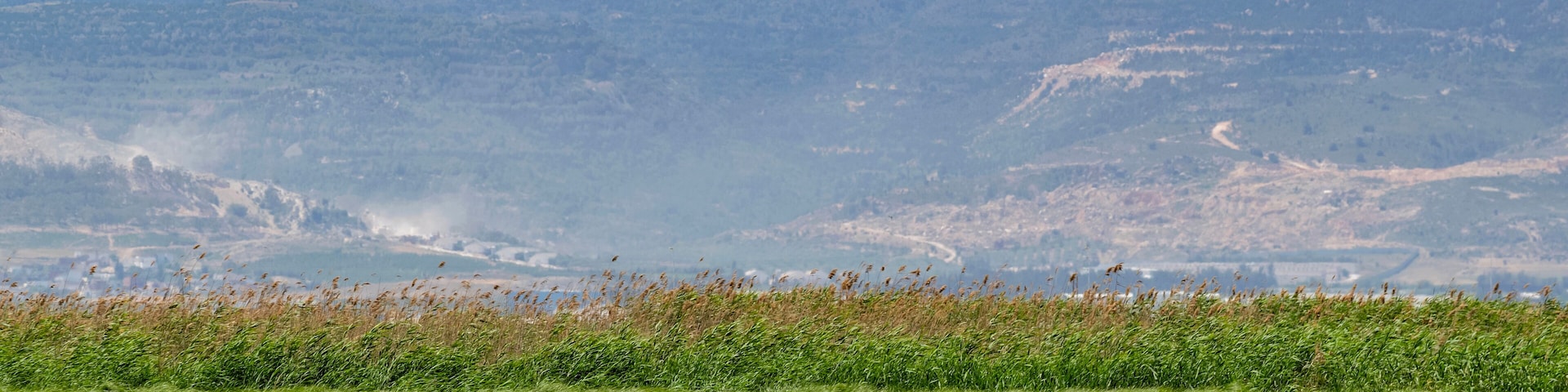 Flamants roses survolant une zone humide