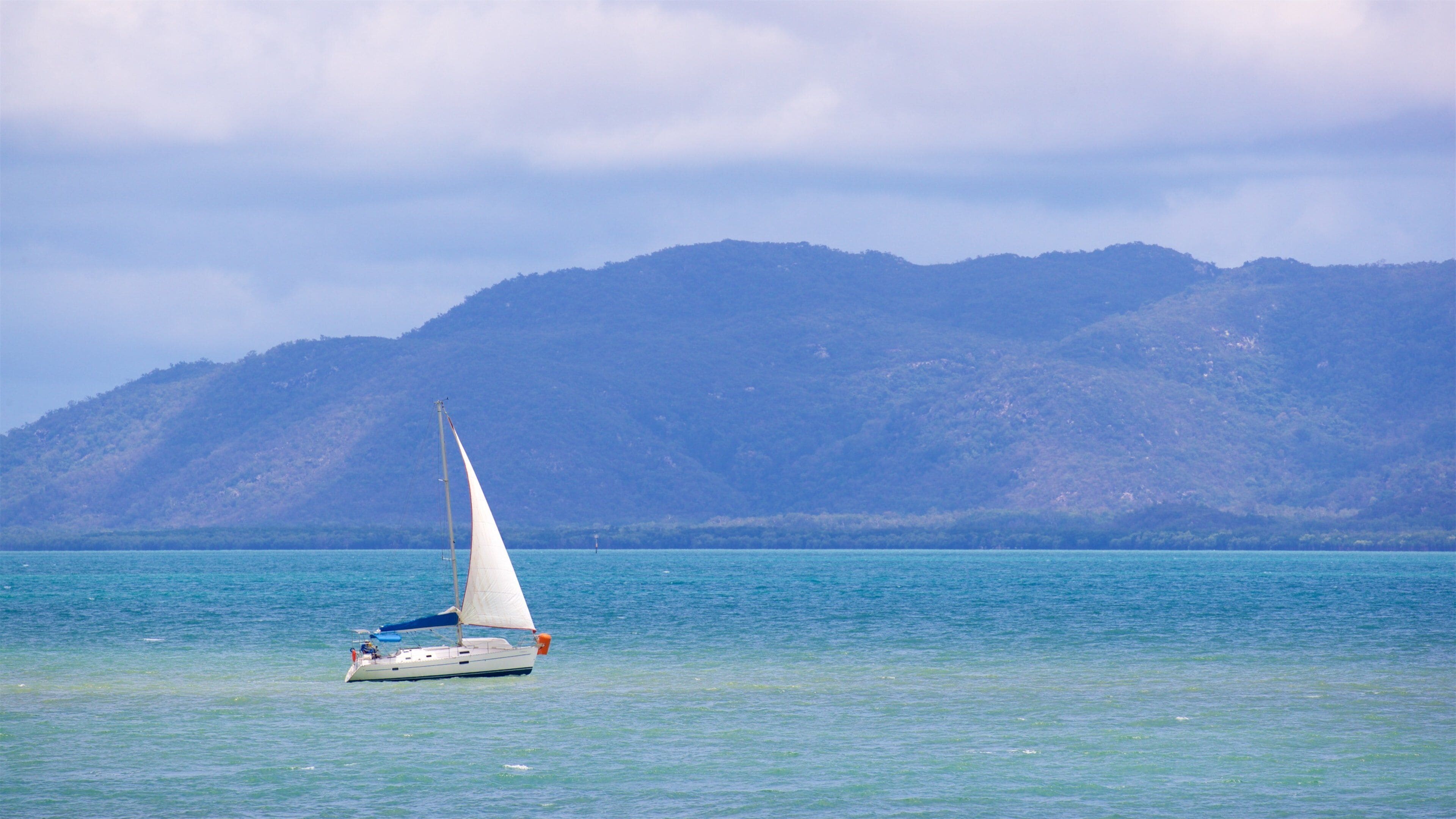 Magnetic Island showing general coastal views and boating
