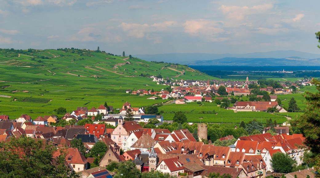 Vu sur les trois communes historiques regroupées aujourd'hui sous Kaysersberg vignoble, CEA, Alsace, Grand Est, France