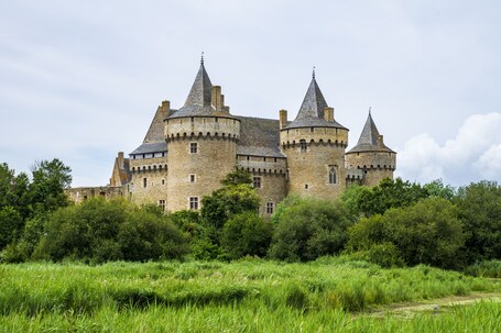 Un château médiéval doté de nombreuses tours et entouré d’une végétation luxuriante.